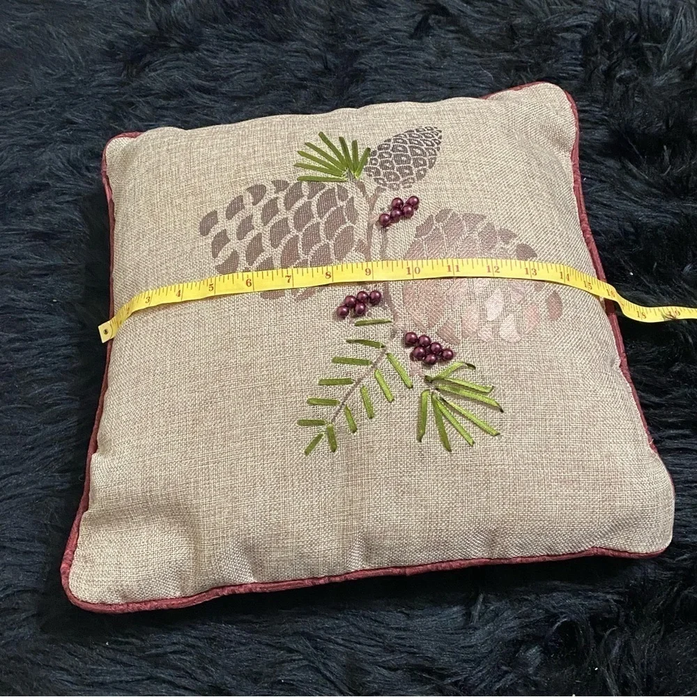 Source Unknown accent pillow